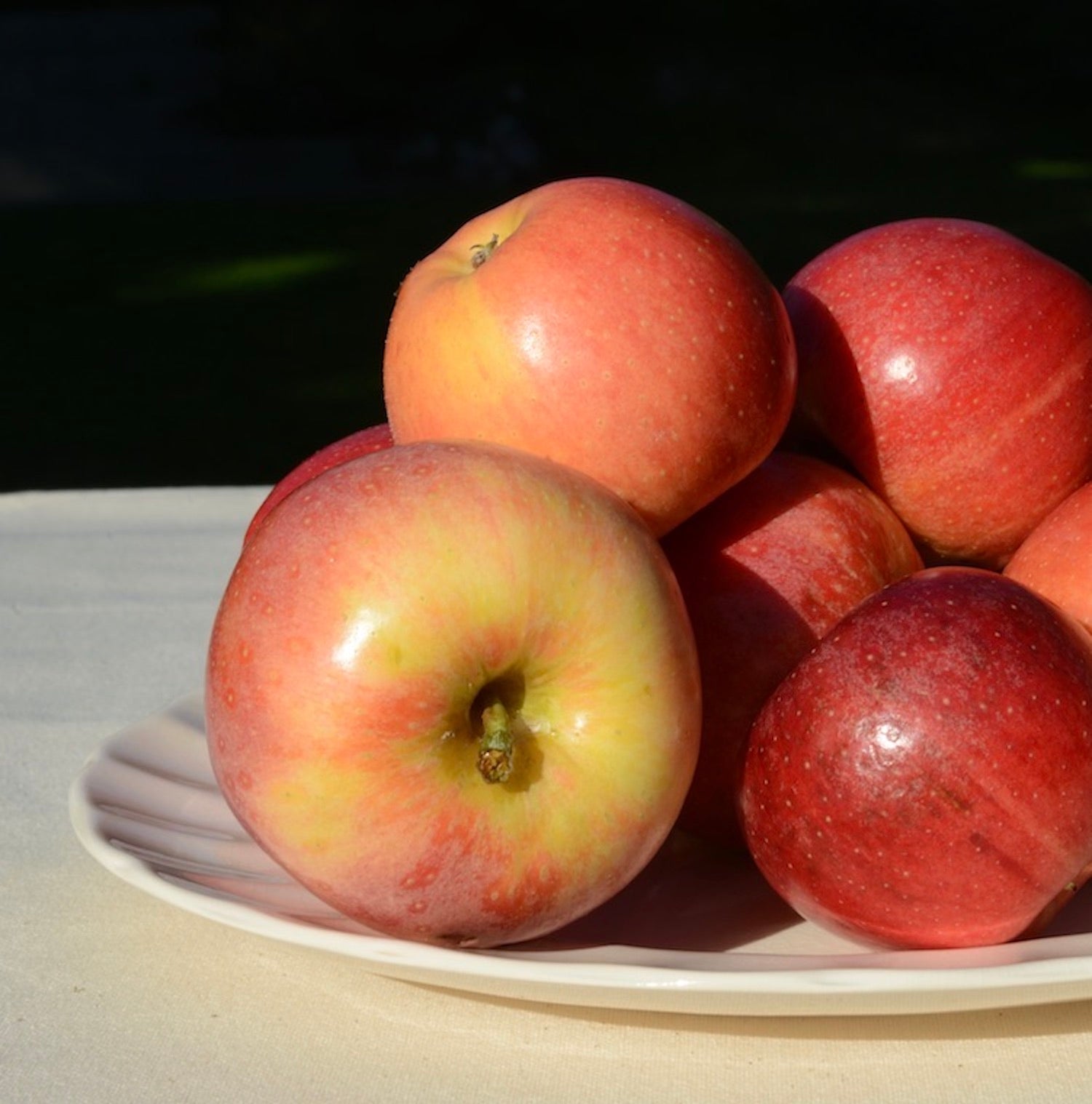 Manzanas royal gala ecológicas sobre plato blanco