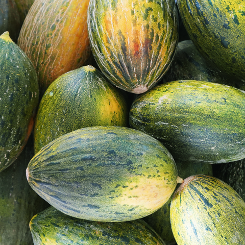 Melones de piel de sapo ecológicos