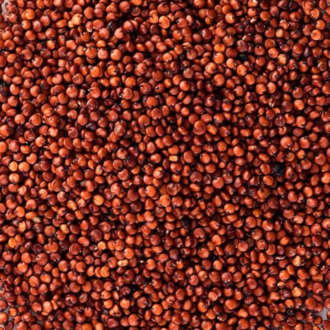 Quinoa Real Roja Ecológica - 500g