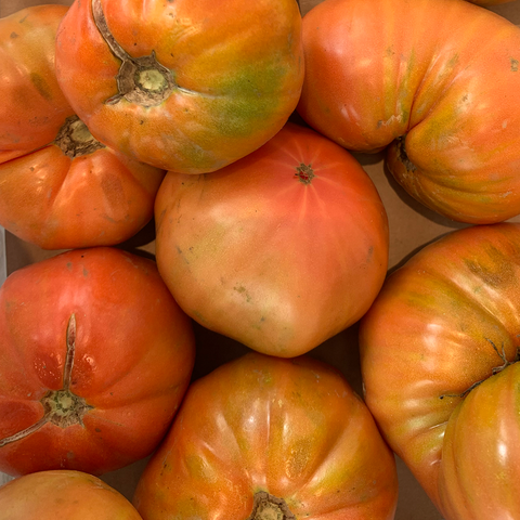 Tomate feo de Tudela - 1 unidad