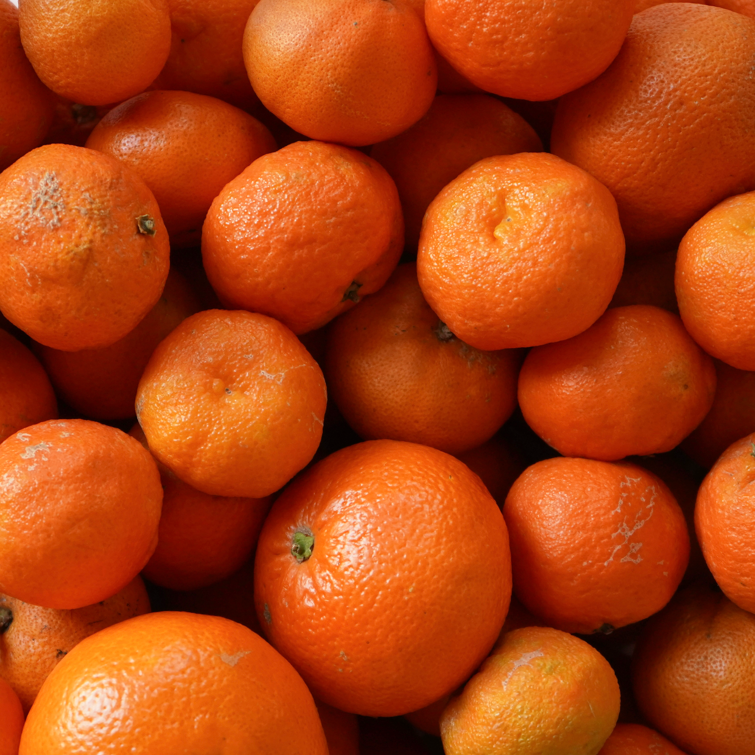 Varias mandarinas ecológicas