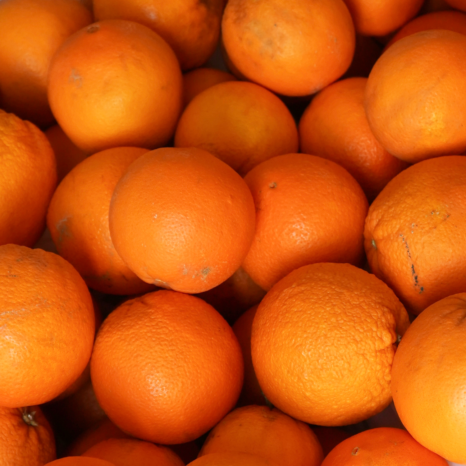 Varias naranjas ecológicas