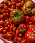 Tomates ecológicos de la huerta