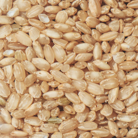 Arroz bomba integral ecológico - 500g