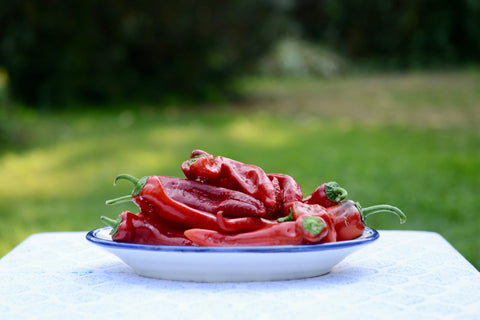 Pimientos rojos italianos en bandeja