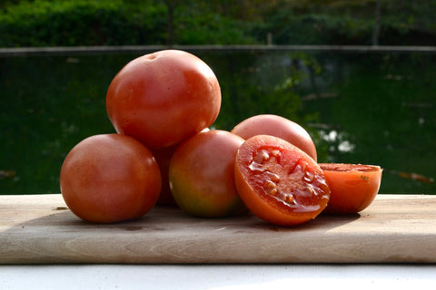 Tomate de 'penjar' ecológico - 500g