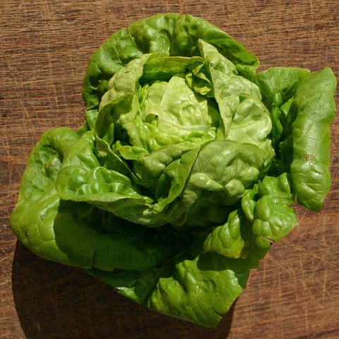 Cogollo Cogollo Lechuga Ecológico | Supernormal