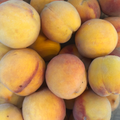 Varios melocotones amarillos