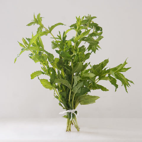 Menta ecológica - 1 manojo