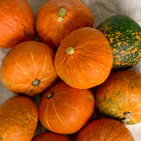 Calabaza potimarrón ecológica de nuestra huerta.