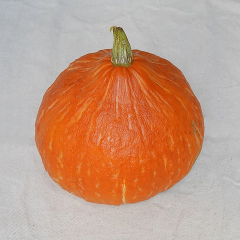 Una calabaza potimarrón ecológica