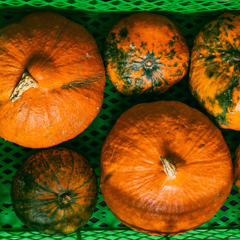 Taller de calabazas