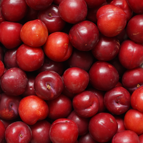 Varias ciruelas rojas ecológicas