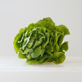 Cogollo verde ecológico