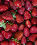 Fresas ecológicas