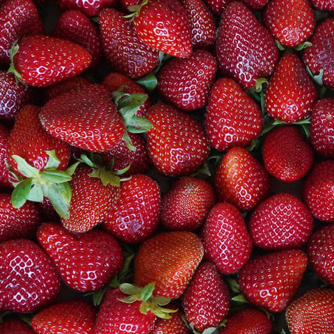 Fresas ecológicas