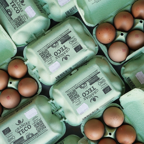 Cajas verdes de huevos ecológicos abiertas y cerradas