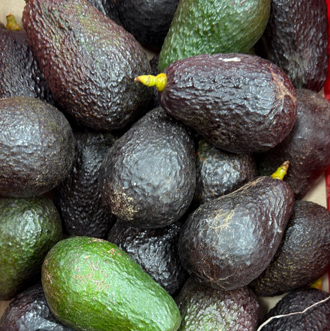 Aguacate hass lamb - 500g