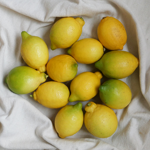 Limones ecológicos sobre mantel blanco