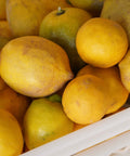 Limones ecológicos dentro de una caja de plástico blanca