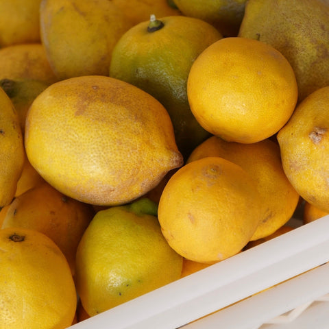 Limones ecológicos dentro de una caja de plástico blanca