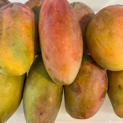 Varios mangos ecológicos