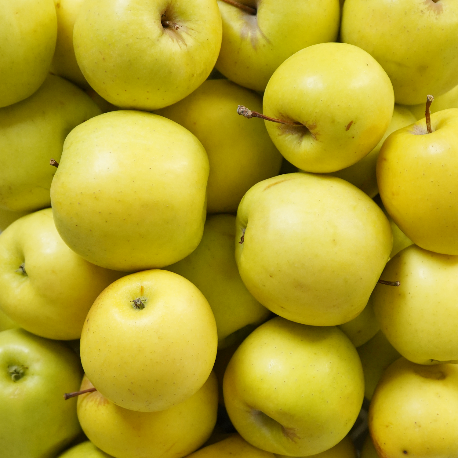 Manzanas golden ecológicas