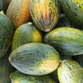 Melones de piel de sapo ecológicos