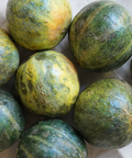 Varios melones Cantaloupe