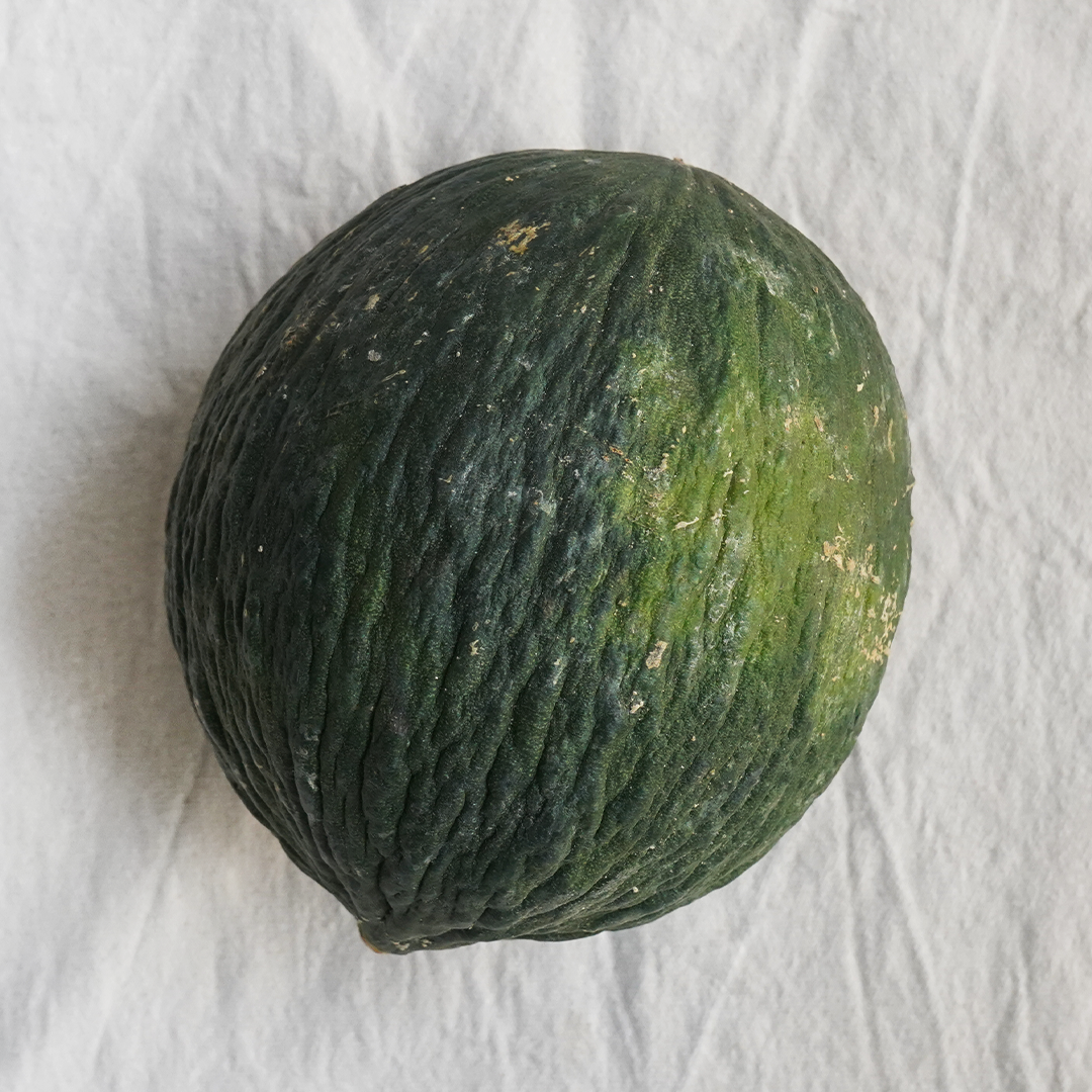 Un melón tendal ecológico