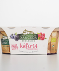 Kefir ecológico con frutas del bosque marca Xanceda