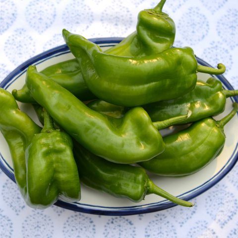 Pimientos verdes ecológicos en una bandeja