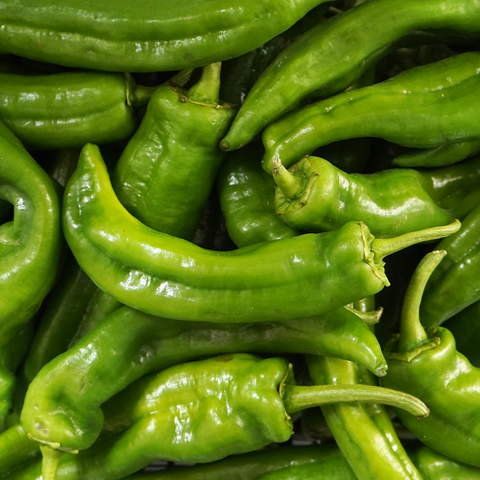 Pimientos verdes italianos ecológicos