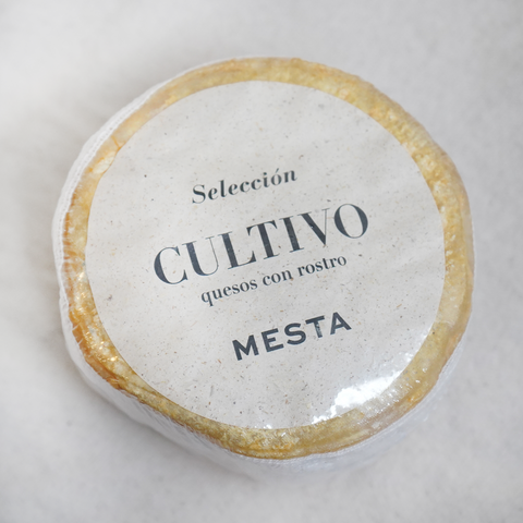 Pieza de queso mesta