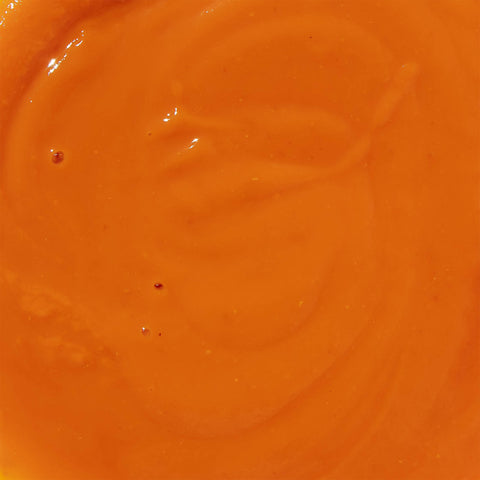 Salsa de tomate fina - 300g