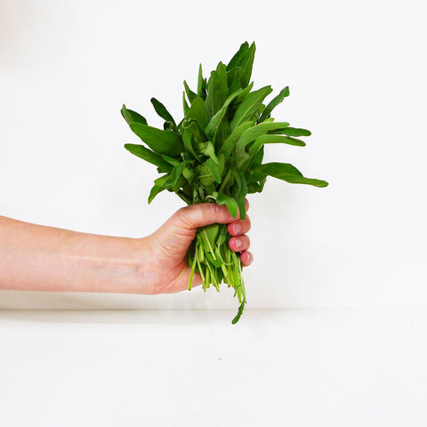Salvia ecológica fresca - manojo 70g
