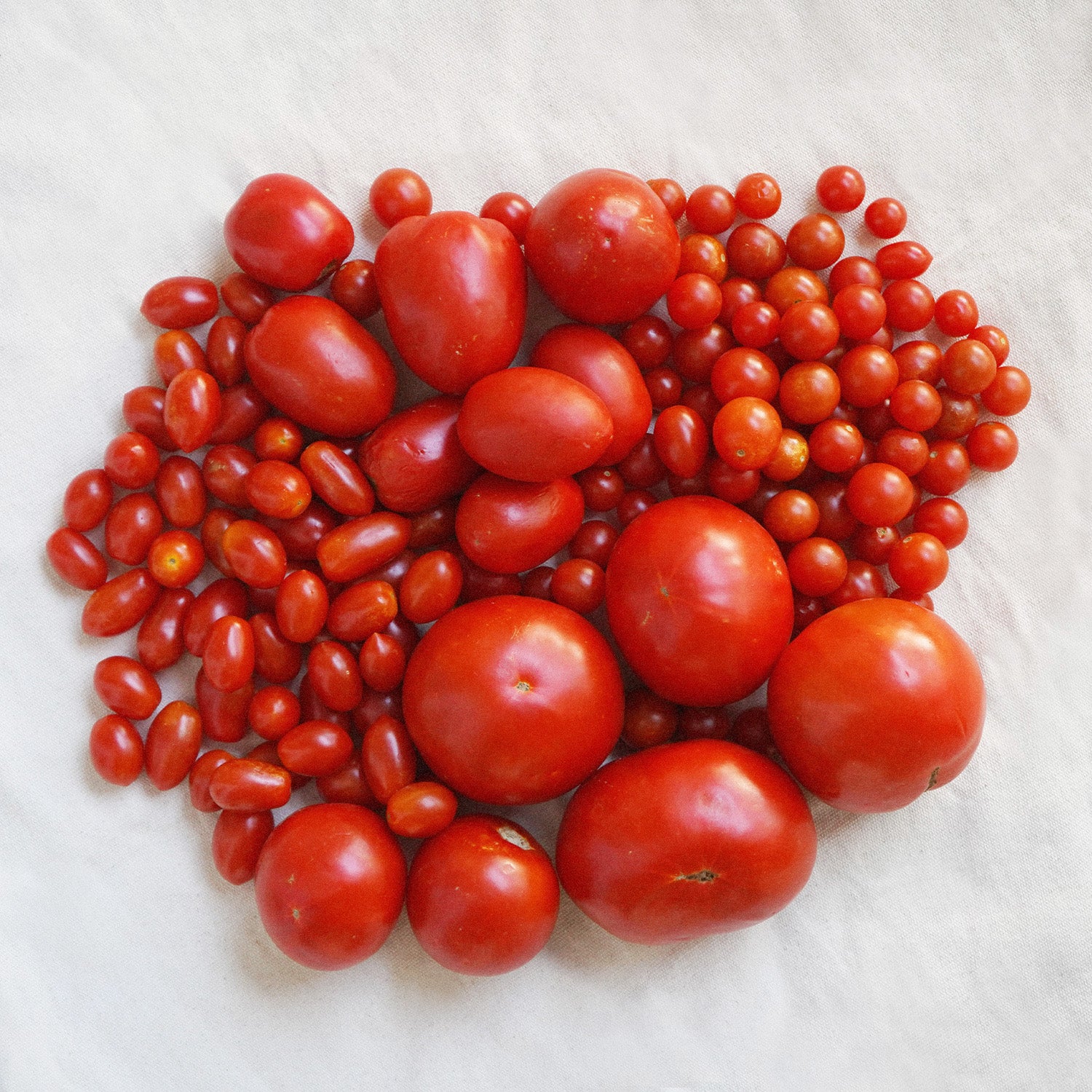 Surtido de tomates ecológicos