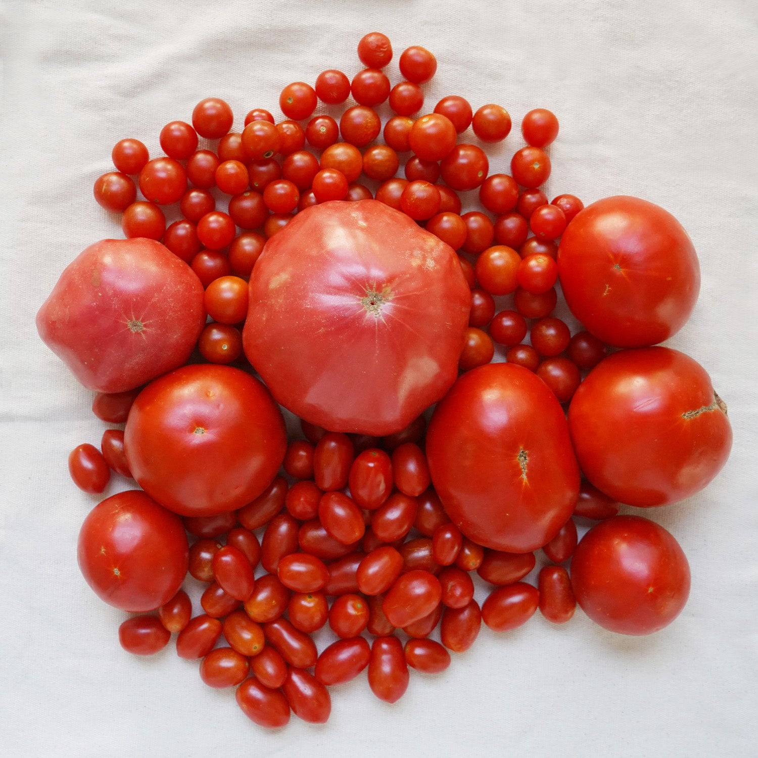 Surtido de tomates ecológicos