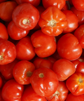 Tomate de ensalada ecológico