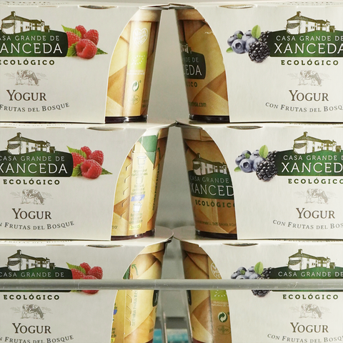 Yogur ecológico griego con frutas del bosque - Pack 2uds