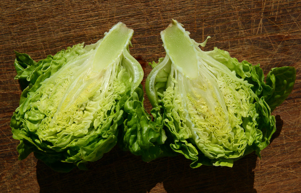 Cogollo Cogollo de lechuga ecológico | Supernormal Sitio Oficial