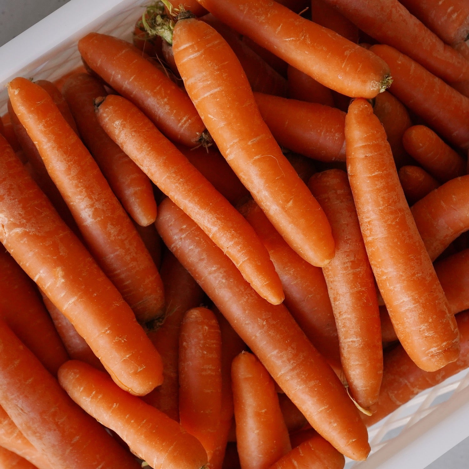 Varias zanahorias ecológicas dentro de una caja de plástico blanca